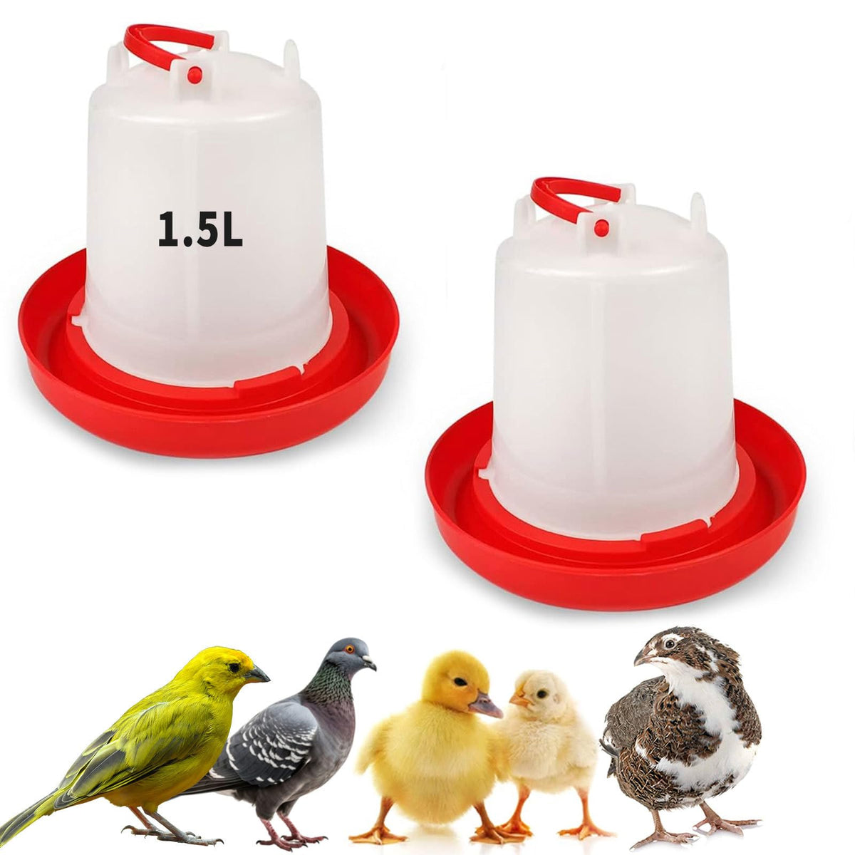 2 Pack 1.5L Plastic Chick Waterer Y558