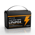 12V 100Ah LiFePO4 Battery with 100A BMS M336272