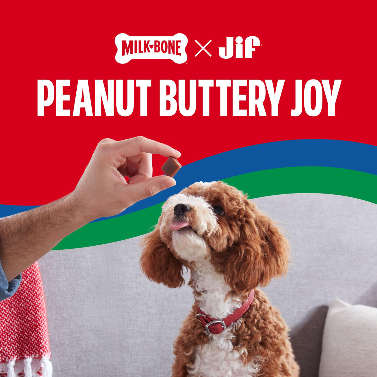 Soft & Chewy Peanut Buttery Dog Treats 11.8 Oz T779