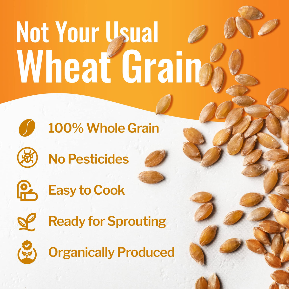 100% Organic Hard White Wheat Berries 43 lbs N212