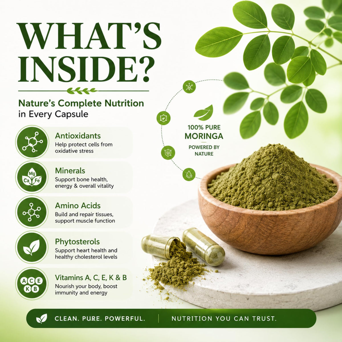 Organic Moringa Capsules 800mg 120 Count B191